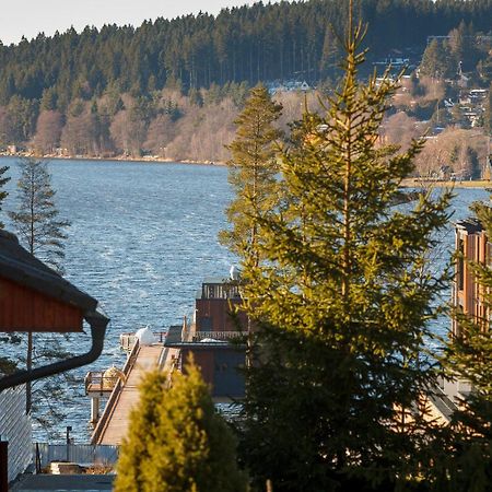 Vila Kubik Lipno Липно над Вълтава Екстериор снимка