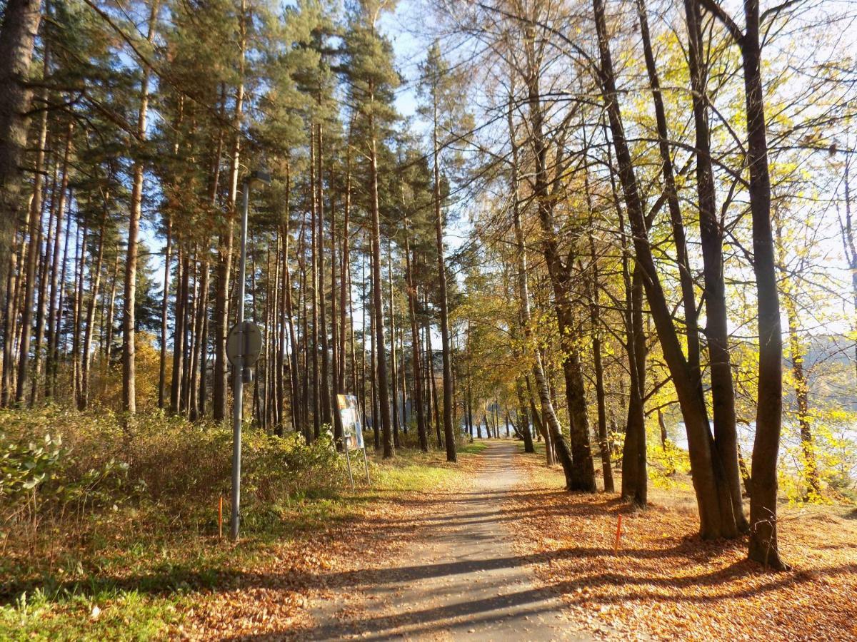 Vila Kubik Lipno Липно над Вълтава Екстериор снимка